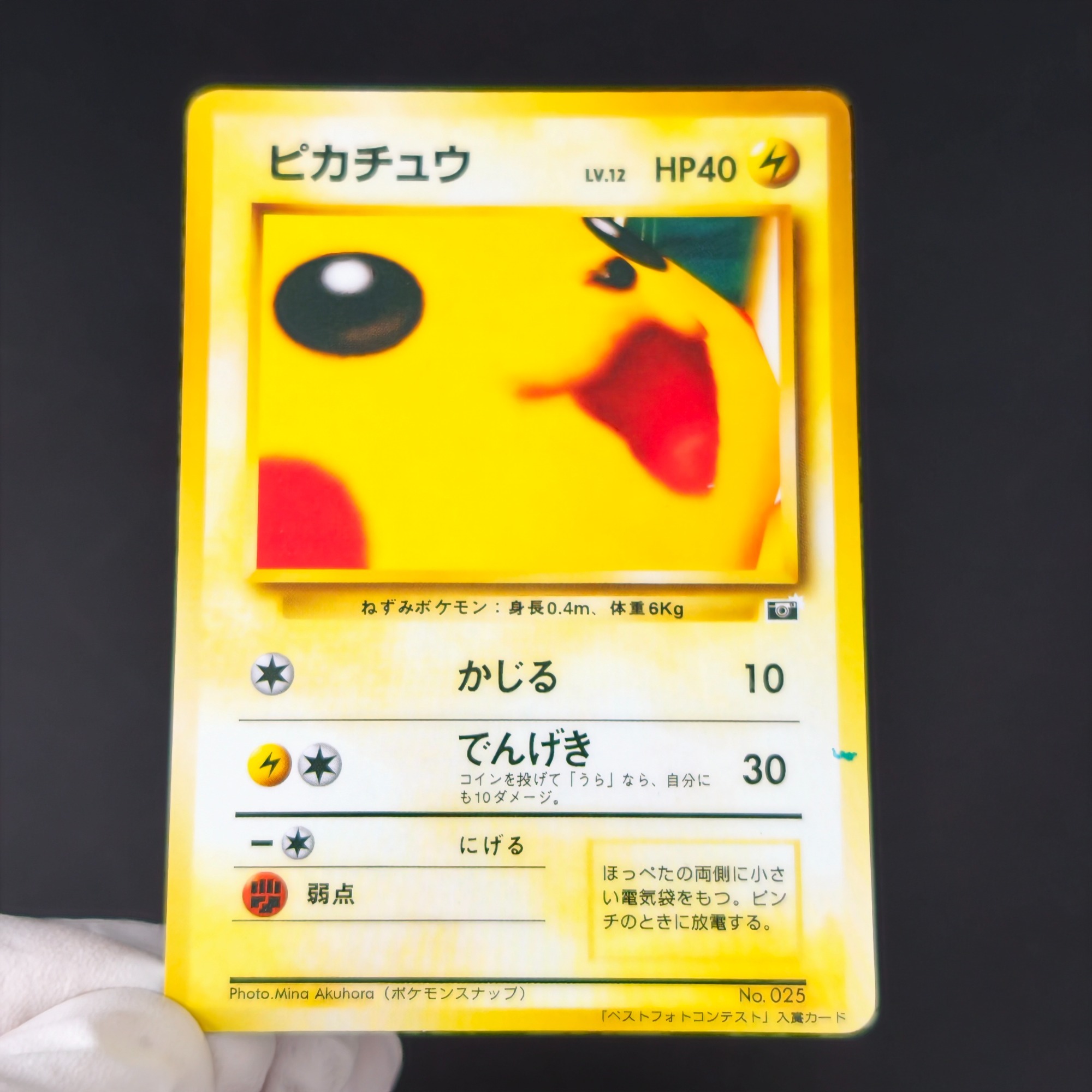 Vintage Pokemon Collectible - 10 SZTUK Pokemon Vintage Boy Bulbasaur